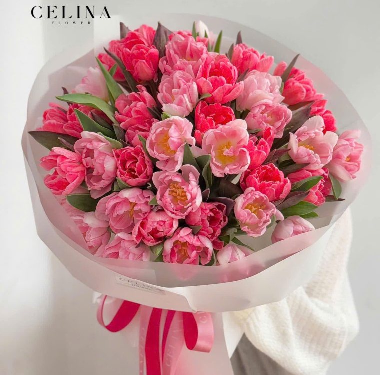 Hoa bó tulip nhập